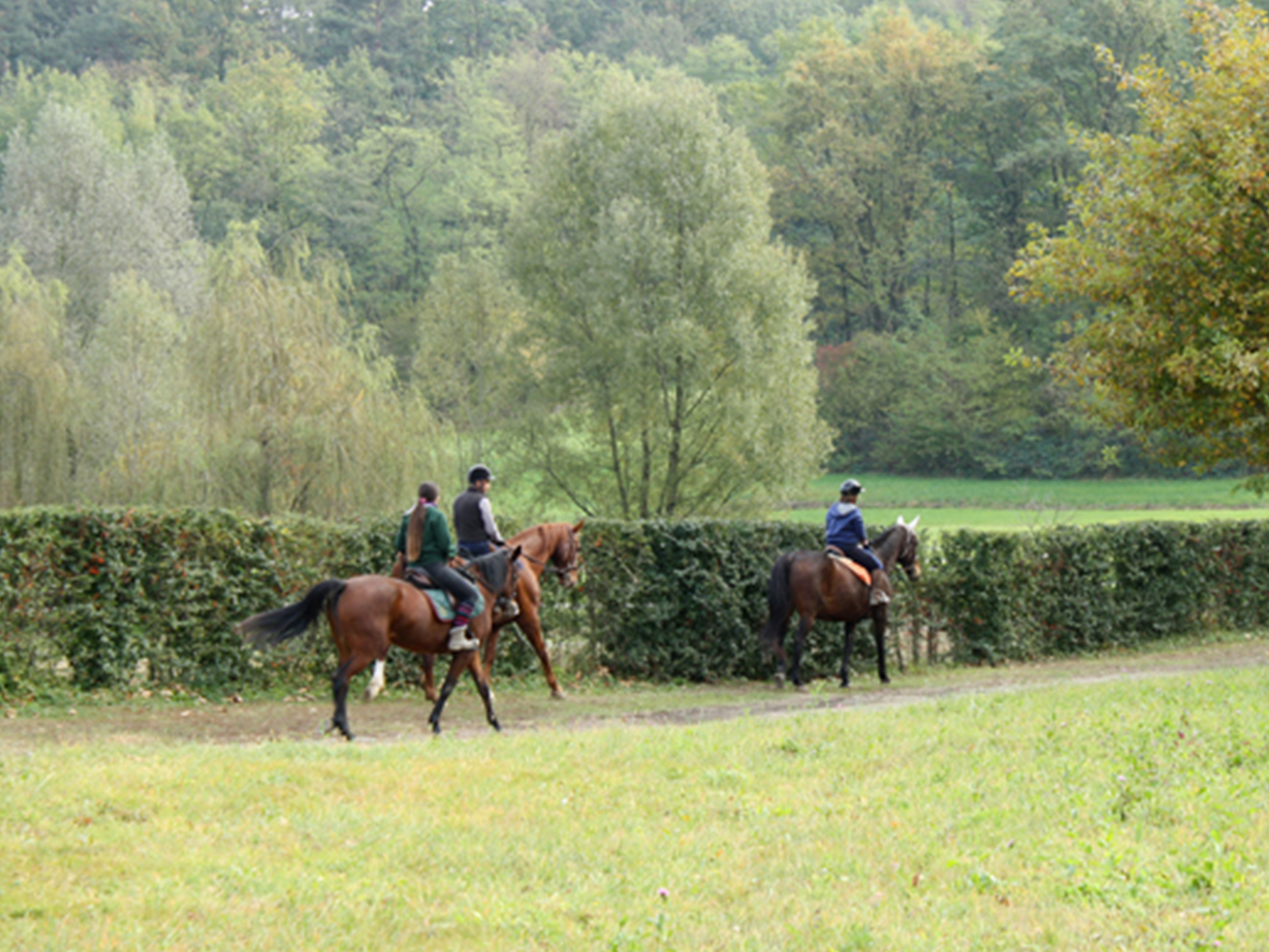 scuola_equitazione_adulti_centro_ippico_la_fonda_varese_0014_6_0