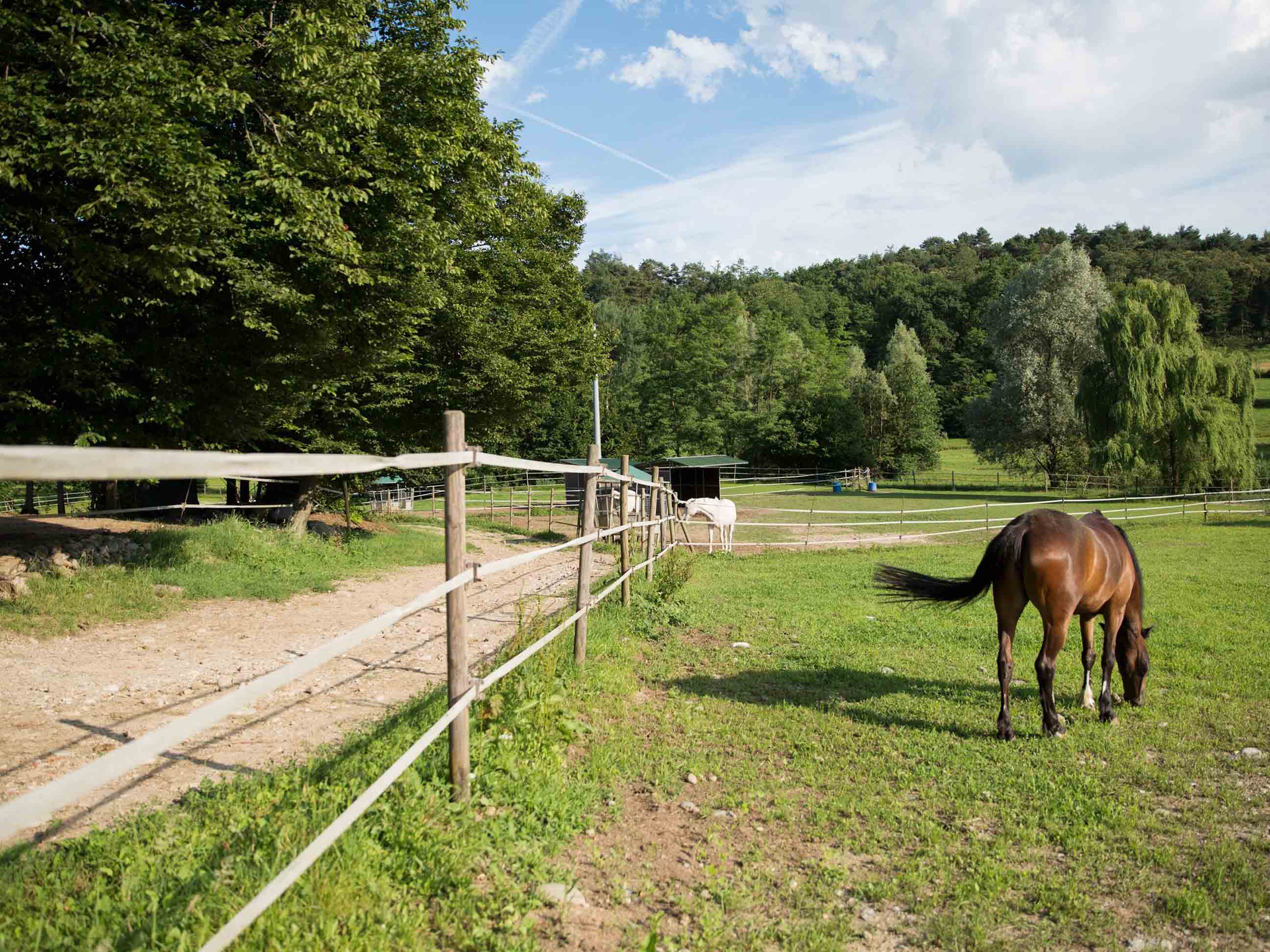 paddock_centro_ippico_la_fonda_casale_litta_varese